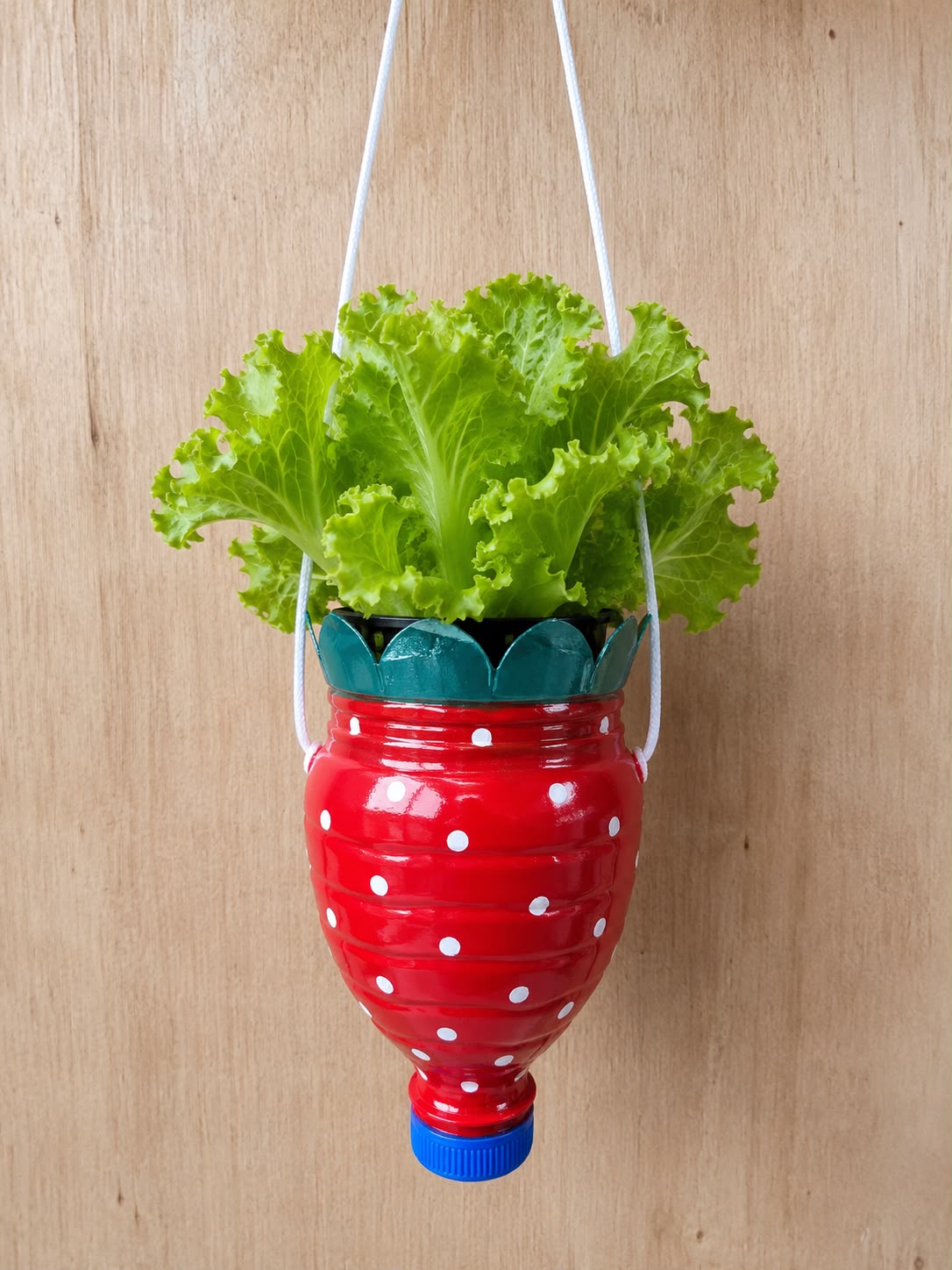 Botol upcycled dihias bentuk stroberi berisi tanaman selada